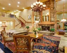 九游游戏平台-灰熊最新消息今天