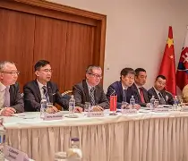 瑞典队斯洛伐克队