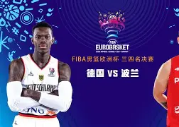 波兰战胜奥地利,成功晋级欧洲杯半决赛视频